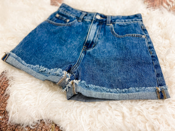 Day to Day Denim Shorts