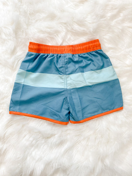 Striped Swim Shorts